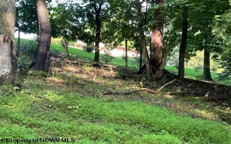 0 Pierpont Road, Morgantown, West Virginia 26508, ,Lots/land,For Sale,Pierpont,10154436