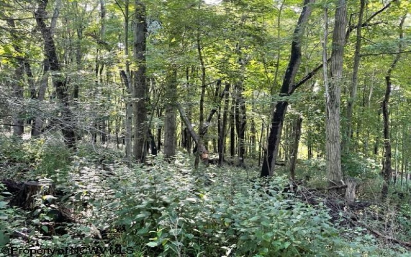 0 Pierpont Road, Morgantown, West Virginia 26508, ,Lots/land,For Sale,Pierpont,10154436