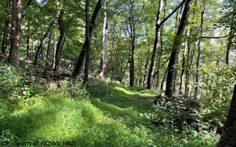 0 Pierpont Road, Morgantown, West Virginia 26508, ,Lots/land,For Sale,Pierpont,10154436