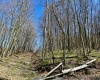 2214 Lot 2 Fairview Road, Gladesville, West Virginia 26374, ,Lots/land,For Sale,Fairview,10154471