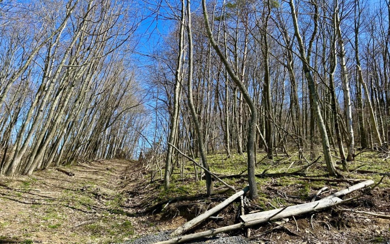 2214 Lot 2 Fairview Road, Gladesville, West Virginia 26374, ,Lots/land,For Sale,Fairview,10154471