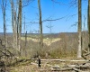 2214 Lot 2 Fairview Road, Gladesville, West Virginia 26374, ,Lots/land,For Sale,Fairview,10154471