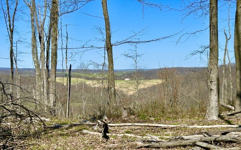 2214 Lot 2 Fairview Road, Gladesville, West Virginia 26374, ,Lots/land,For Sale,Fairview,10154471
