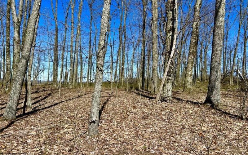 2214 Lot 2 Fairview Road, Gladesville, West Virginia 26374, ,Lots/land,For Sale,Fairview,10154471