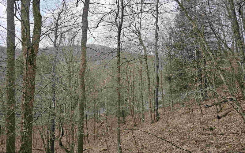 Tract 2 - TBD John Orr/ Sand Plant Road, Independence, West Virginia 26374, ,Lots/land,For Sale,John Orr/ Sand Plant,10154479