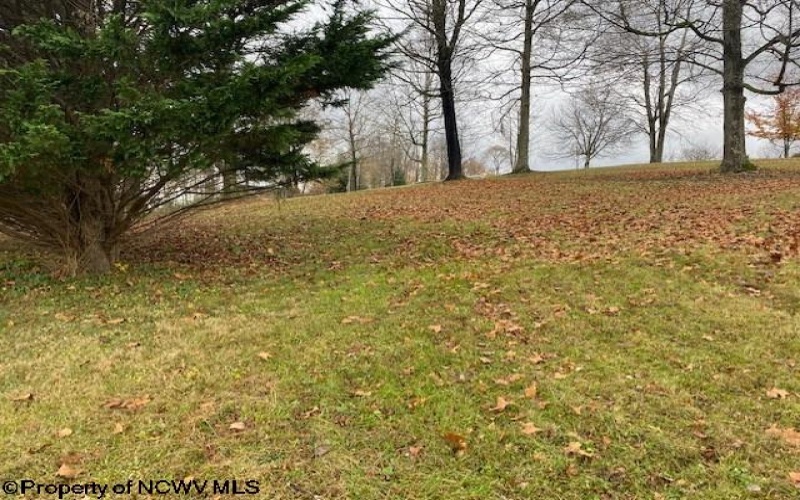 TBD Salem Road, Fairmont, West Virginia 26554, ,Lots/land,For Sale,Salem,10154501