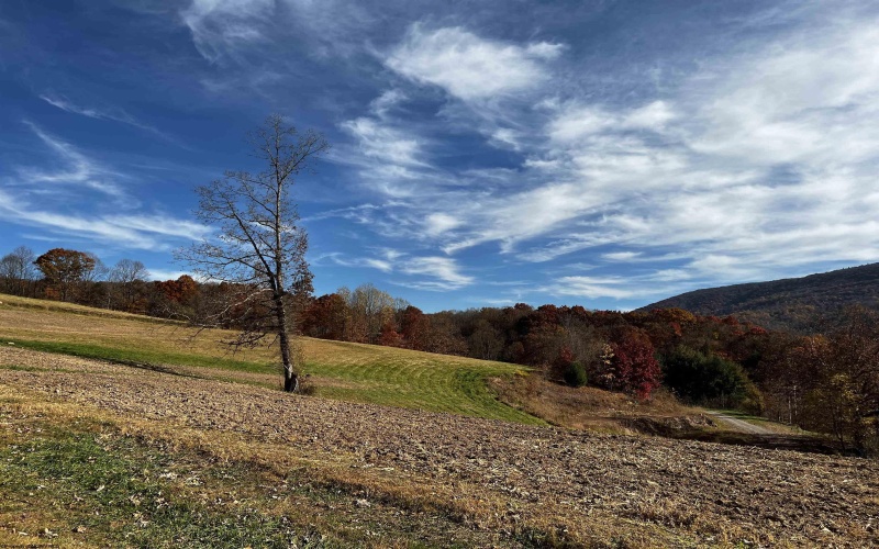 2878 Mackeyville Road, Hambleton, West Virginia 26269, ,Lots/land,For Sale,Mackeyville,10149642