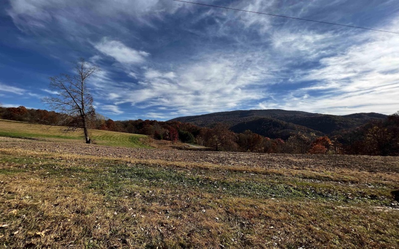 2878 Mackeyville Road, Hambleton, West Virginia 26269, ,Lots/land,For Sale,Mackeyville,10149642