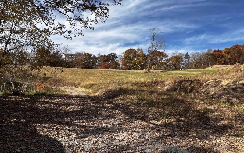 2878 Mackeyville Road, Hambleton, West Virginia 26269, ,Lots/land,For Sale,Mackeyville,10149642