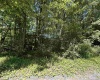 Lot 23 Fairfax Pines Drive, Reedsville, West Virginia 26547, ,Lots/land,For Sale,Fairfax Pines,10154564