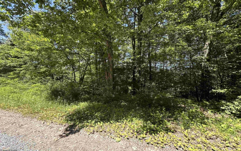 Lot 23 Fairfax Pines Drive, Reedsville, West Virginia 26547, ,Lots/land,For Sale,Fairfax Pines,10154564