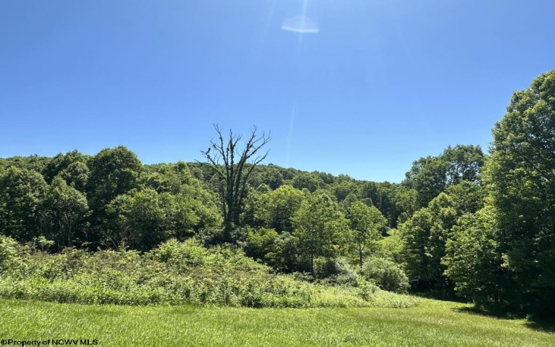 LOT 24 Fairfax Pines Circle, Reedsville, West Virginia 26547, ,Lots/land,For Sale,Fairfax Pines,10154566