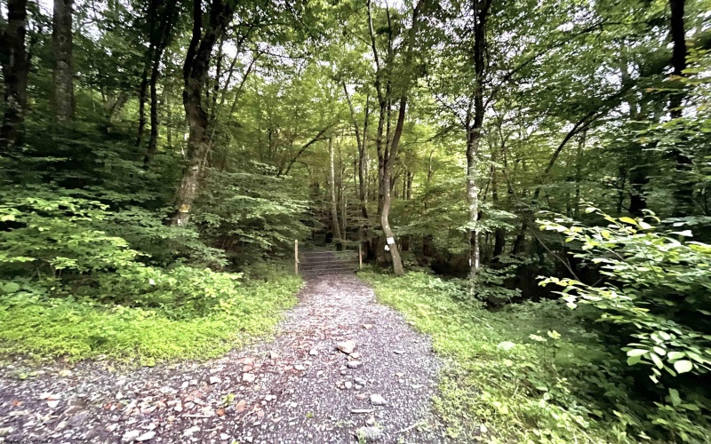 TBD END Road, Tunnelton, West Virginia 26444, ,Lots/land,For Sale,END,10154671