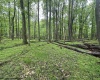 Lot 136 Columbine Circle, Terra Alta, West Virginia 26764, ,Lots/land,For Sale,Columbine,10154586