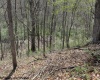 0 Hazelwood Road, Beverly, West Virginia 26253, ,Lots/land,For Sale,Hazelwood,10149035