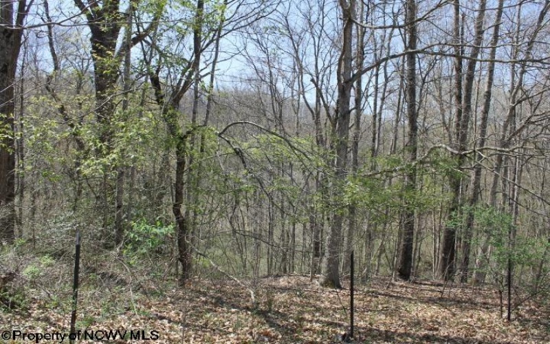 0 Hazelwood Road, Beverly, West Virginia 26253, ,Lots/land,For Sale,Hazelwood,10149035