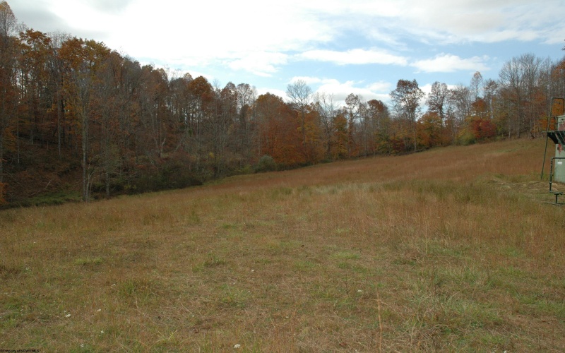 308 Alton Road, Adrian, West Virginia 26210, ,Lots/land,For Sale,Alton,10152133