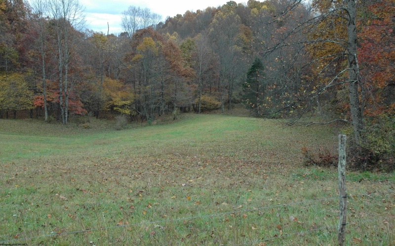 308 Alton Road, Adrian, West Virginia 26210, ,Lots/land,For Sale,Alton,10152133