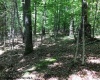 TBD Harpertown Road, Elkins, West Virginia 26241, ,Lots/land,For Sale,Harpertown,10154619