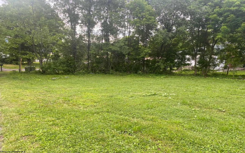 109 Knapp Street, Elkins, West Virginia 26241, ,Lots/land,For Sale,Knapp,10154636