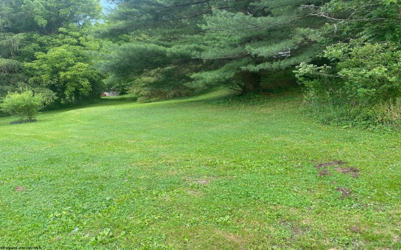 109 Knapp Street, Elkins, West Virginia 26241, ,Lots/land,For Sale,Knapp,10154636