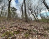 TBD Timmons Road, Independence, West Virginia 26374, ,Lots/land,For Sale,Timmons,10154702