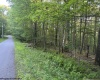 100 Aster Drive, Terra Alta, West Virginia 26764, ,Lots/land,For Sale,Aster,10154709