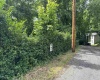 401 Conn Street, Morgantown, West Virginia 26501, ,Lots/land,For Sale,Conn,10154719