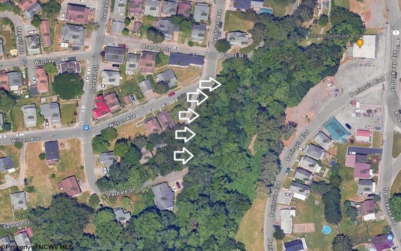 401 Conn Street, Morgantown, West Virginia 26501, ,Lots/land,For Sale,Conn,10154719