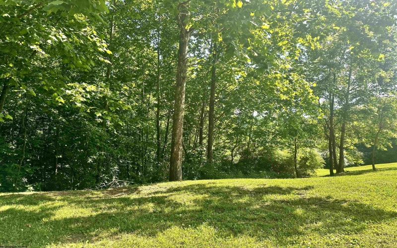 570 Lakeview Drive, Horner, West Virginia 26372, ,Lots/land,For Sale,Lakeview,10154670