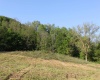 1263 Point Mountain Road, Webster Springs, West Virginia 26288, ,Lots/land,For Sale,Point Mountain,10149114