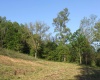 1263 Point Mountain Road, Webster Springs, West Virginia 26288, ,Lots/land,For Sale,Point Mountain,10149114