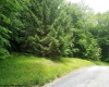 10 Flag Run Road, Davis, West Virginia 26260-0000, ,Lots/land,For Sale,Flag Run,10154730