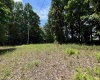 TBD Halleck Road, Morgantown, West Virginia 26508, ,Lots/land,For Sale,Halleck,10154731