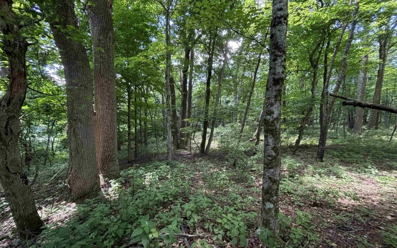 TBD Halleck Road, Morgantown, West Virginia 26508, ,Lots/land,For Sale,Halleck,10154731