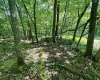 240, 241 & 242 Aster Circle, Terra Alta, West Virginia 26764, ,Lots/land,For Sale,Aster,10154755