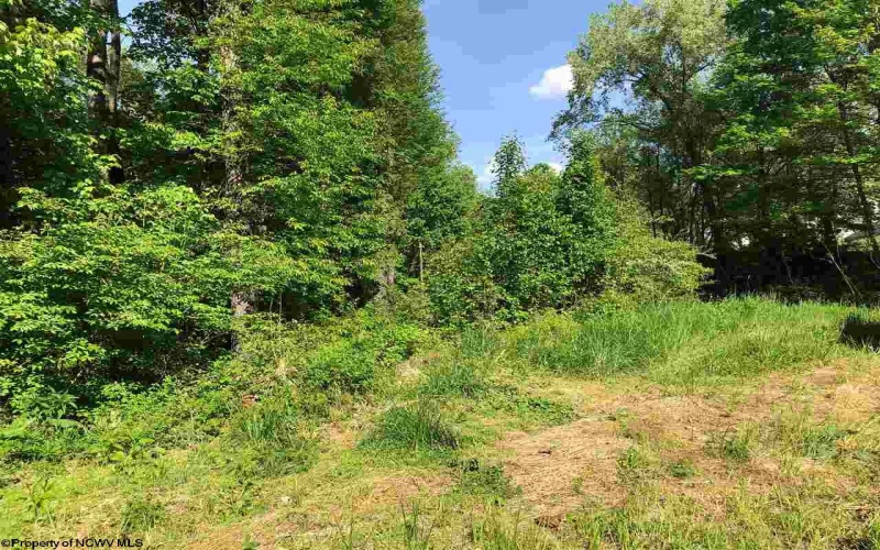 TBD Round Bottom Road, Morgantown, West Virginia 26508, ,Lots/land,For Sale,Round Bottom,10150964