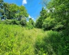 TBD Johnson Avenue, Bridgeport, West Virginia 26330, ,Lots/land,For Sale,Johnson,10154823