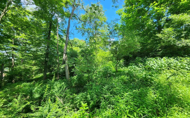 TBD Johnson Avenue, Bridgeport, West Virginia 26330, ,Lots/land,For Sale,Johnson,10154823