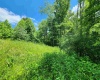 TBD Johnson Avenue, Bridgeport, West Virginia 26330, ,Lots/land,For Sale,Johnson,10154823