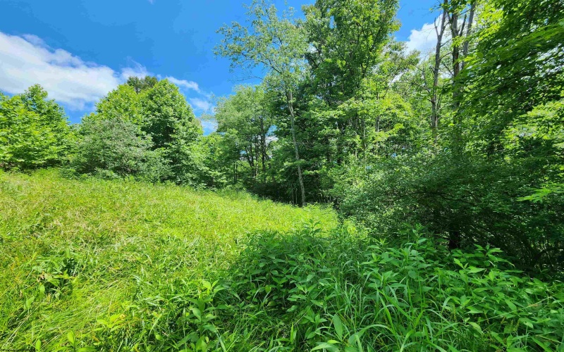 TBD Johnson Avenue, Bridgeport, West Virginia 26330, ,Lots/land,For Sale,Johnson,10154823