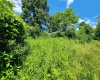 TBD Johnson Avenue, Bridgeport, West Virginia 26330, ,Lots/land,For Sale,Johnson,10154823