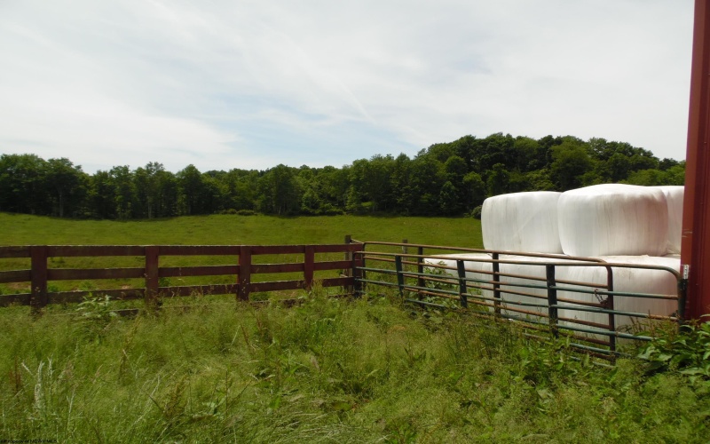 00 BULLS Run, Buckhannon, West Virginia 26218-00, ,Lots/land,For Sale,BULLS,10154842