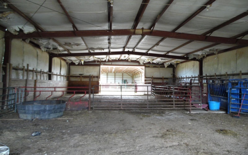 00 BULLS Run, Buckhannon, West Virginia 26218-00, ,Lots/land,For Sale,BULLS,10154842