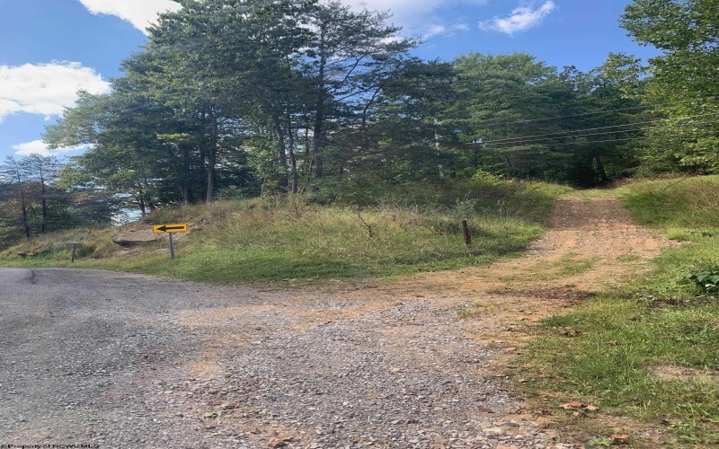 TBD Third Run Road, Glenville, West Virginia 26342, ,Lots/land,For Sale,Third Run,10154846