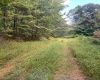 TBD Third Run Road, Glenville, West Virginia 26342, ,Lots/land,For Sale,Third Run,10154846