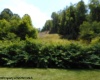 63 Georgetown Road, Horner, West Virginia 26372, ,Lots/land,For Sale,Georgetown,10154850