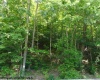 63 Georgetown Road, Horner, West Virginia 26372, ,Lots/land,For Sale,Georgetown,10154850