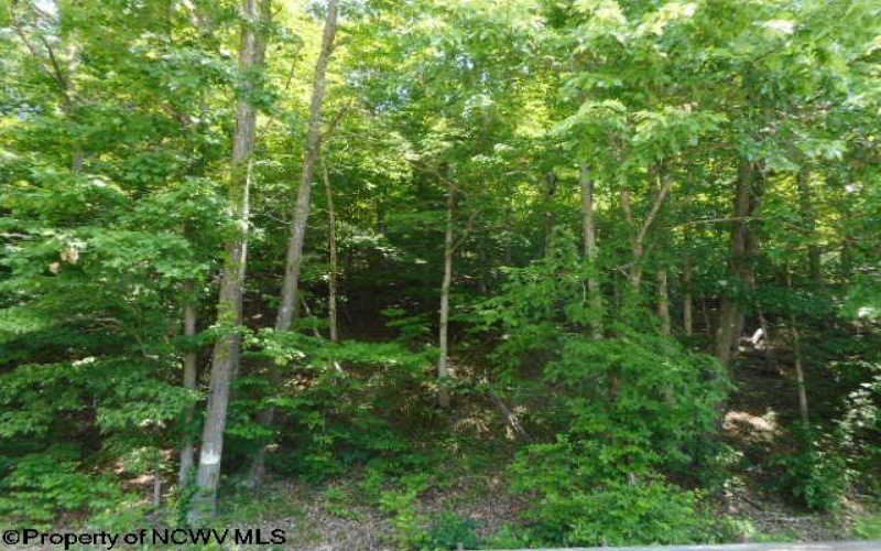 63 Georgetown Road, Horner, West Virginia 26372, ,Lots/land,For Sale,Georgetown,10154850