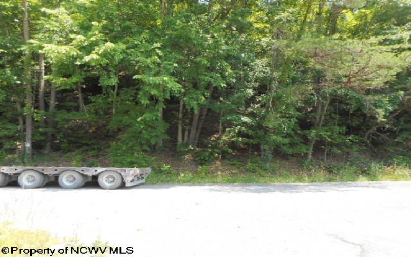 63 Georgetown Road, Horner, West Virginia 26372, ,Lots/land,For Sale,Georgetown,10154850